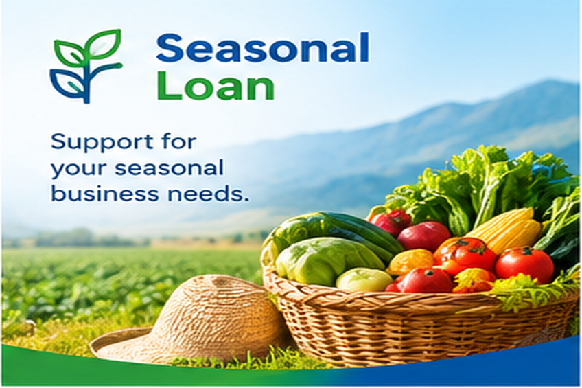 Seasonal Loan